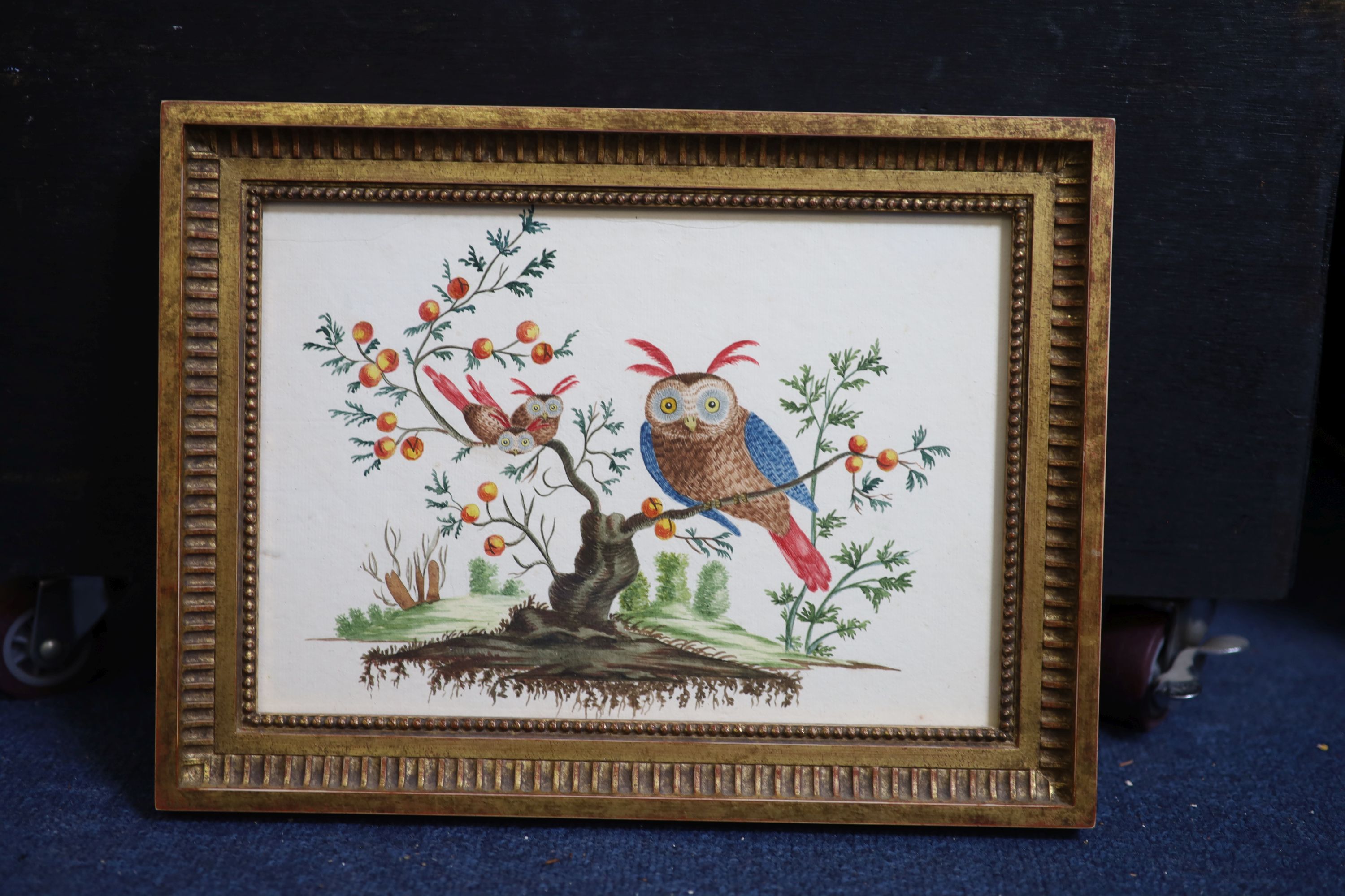 L Champquin (fl.c1800), Owl and owlets in a stunted fruit tree, watercolour, 18 x 26cm